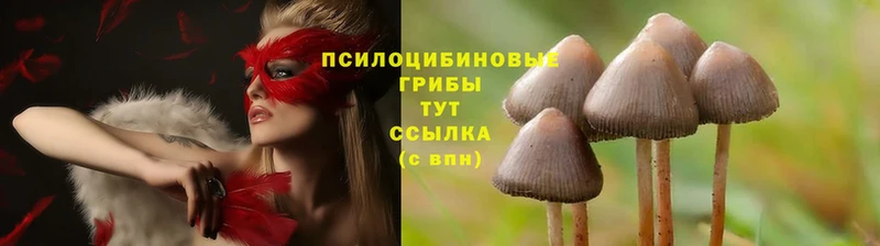 Псилоцибиновые грибы Magic Shrooms  Снежинск 